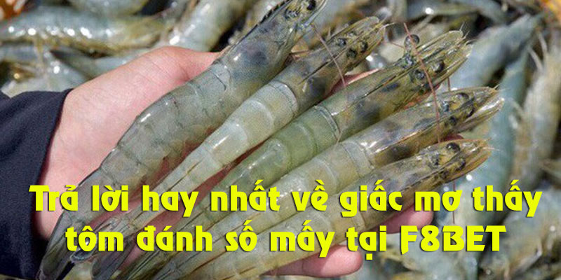 Cân nhắc mơ thấy tôm đánh số mấy tại F8BET?